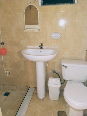 latest property