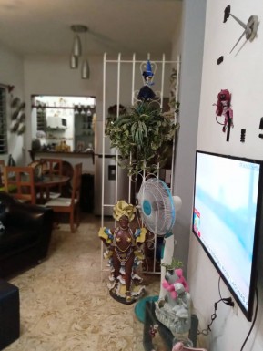 latest property