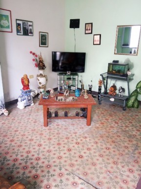 latest property