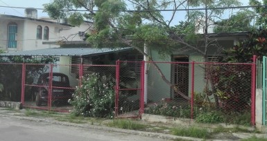 latest property