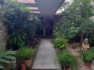 latest property