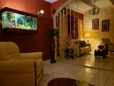 latest property