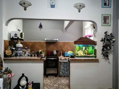 latest property