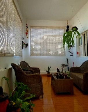 latest property