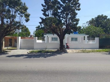 latest property