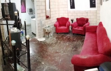 latest property