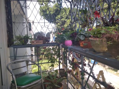 latest property