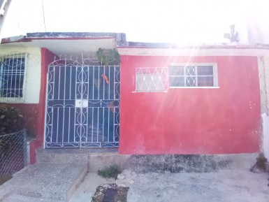 latest property