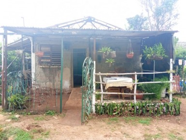latest property