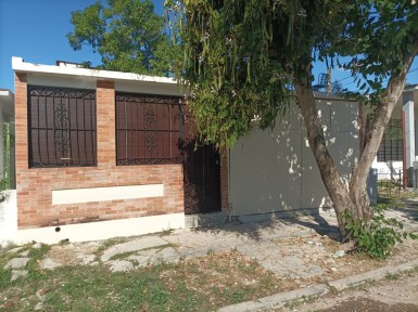 latest property