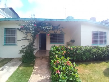 latest property