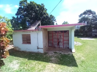 latest property