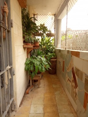 latest property