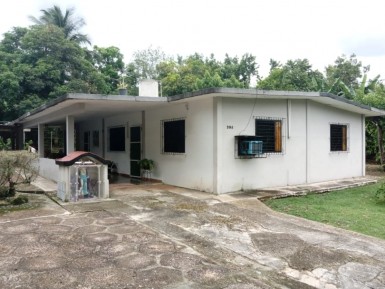 latest property