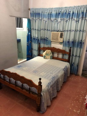 latest property