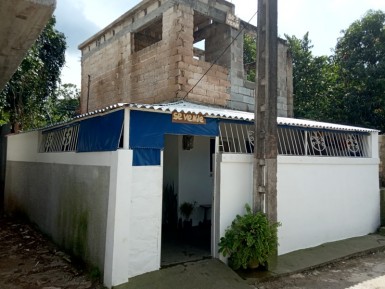 latest property