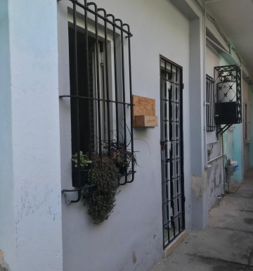 latest property