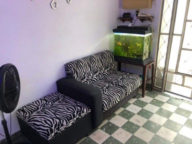 latest property