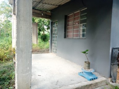 latest property