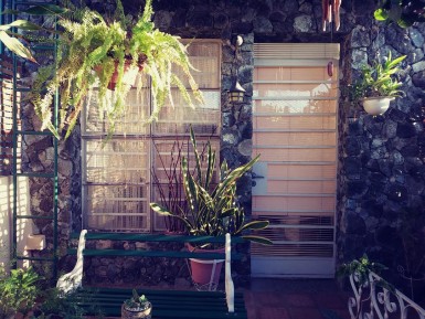 latest property