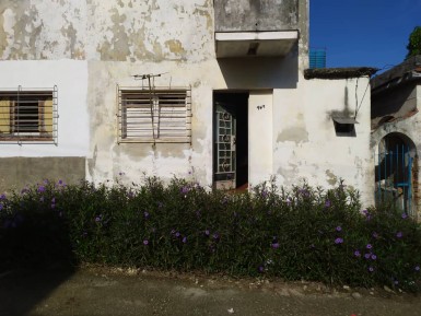 latest property