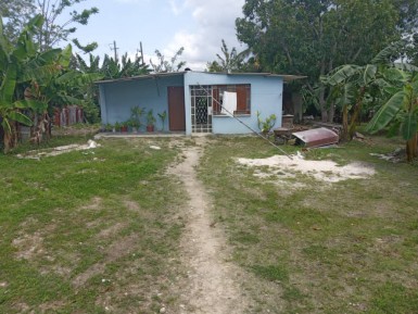 latest property