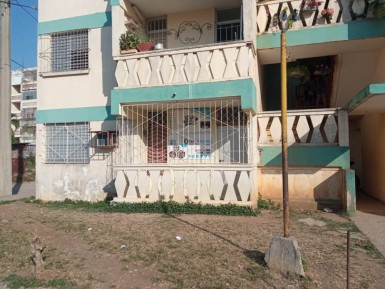 latest property