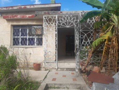 latest property