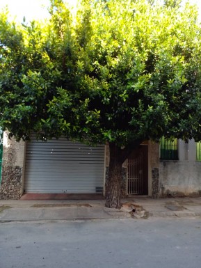 latest property