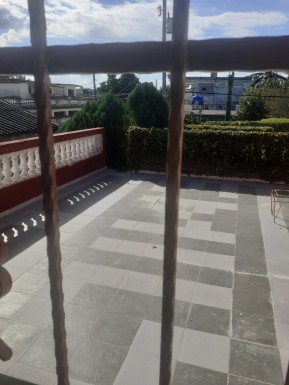 latest property