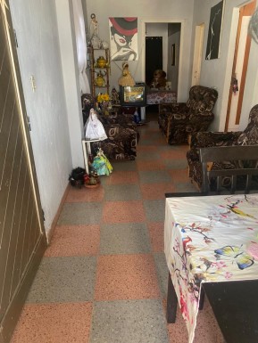 latest property