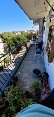 latest property
