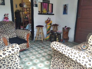 latest property