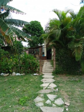 latest property