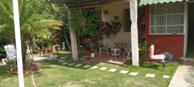 latest property