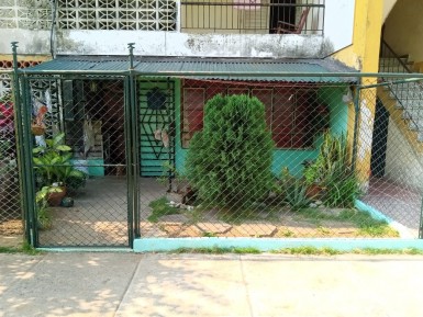 latest property
