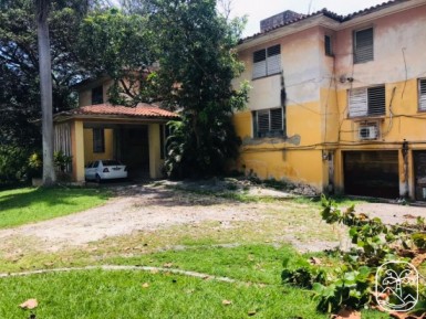 latest property