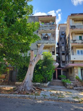 latest property