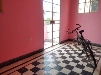 latest property