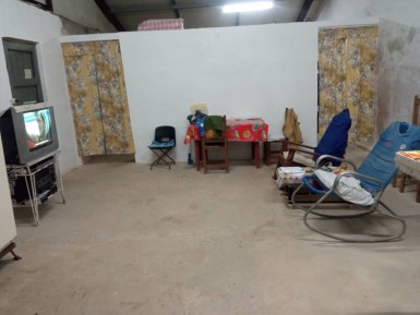 latest property