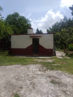 latest property