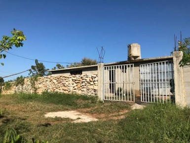 latest property