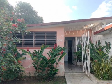 latest property