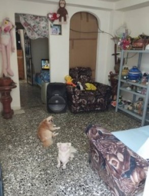 latest property