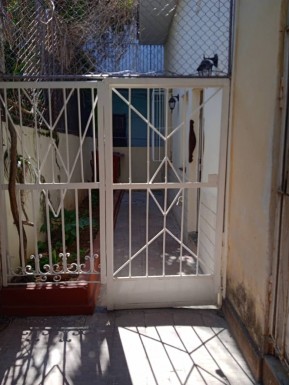latest property