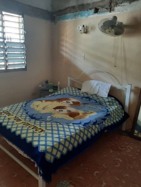 latest property